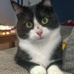 Mia